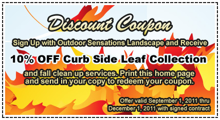 coupon